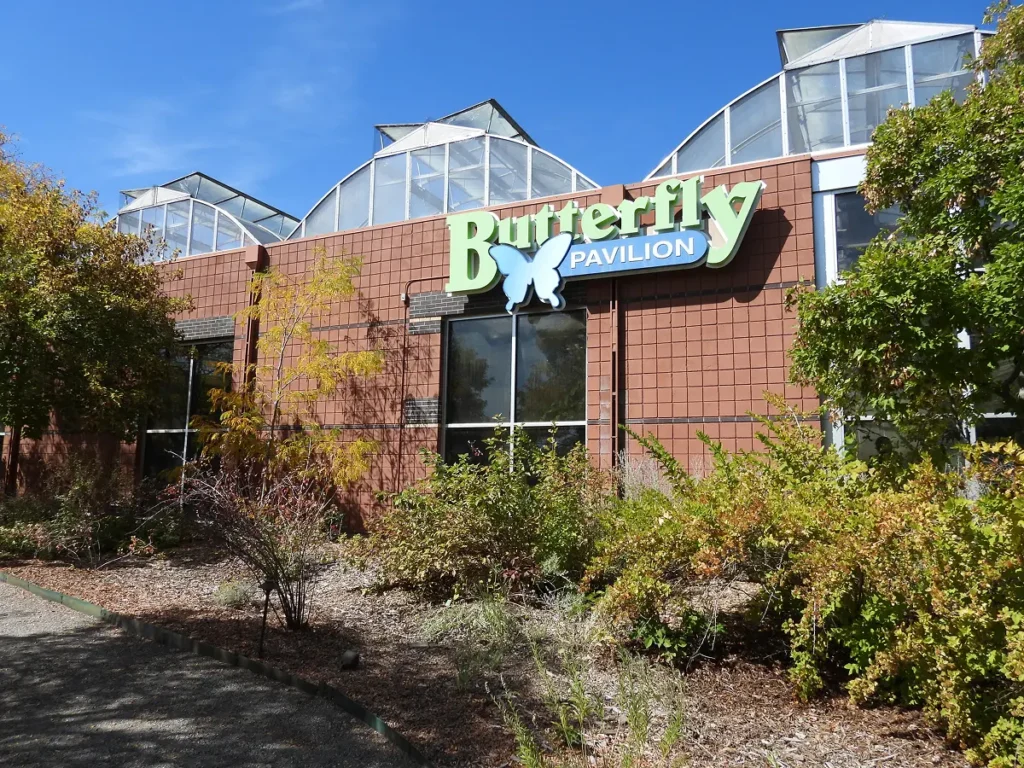 Fall Break Discovery Camp